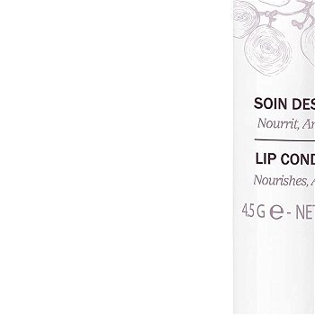 Caudalie Balzam na pery (Lip Conditioner) 4,5 g