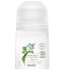 Dove Dezodorant roll-on Eukalyptus Powered by Plants Eucalyptus (24H Deodorant) 50 ml