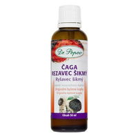 Dr. Popov Čaga-Rezavec šikmý 50 ml