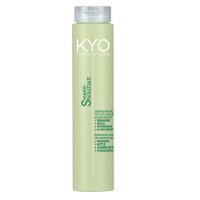 Freelimix Šampón na vlasy Energy System KYO (Reinforcing Shampoo For Thinning Hair ) 250 ml