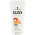 Gliss Kur Regeneračný šampón pre suché, poškodené vlasy Total Repair (Shampoo) 250 ml