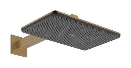 Hlavová sprcha Hansgrohe Raindance Alive Q na stenu vrátane sprchového ramená kartáčovaný bronz 24551140