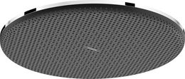 Hlavová sprcha Hansgrohe Raindance Alive S na strop alebo na stenu chróm 24521000