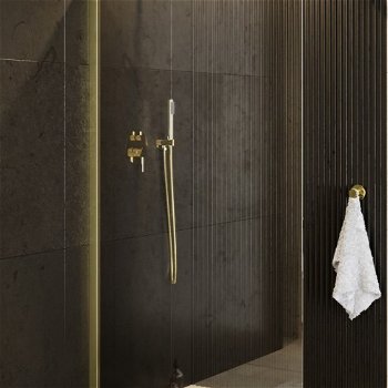 HOPA - Walk-in sprchovací kút ECO-N GOLD - FARBA rámu - Zlatá, Rozmer A - 110 cm, Rozmer C - 195 cm, Výplň - Číre bezpečnostné sklo - 6 mm BCEXON110GC