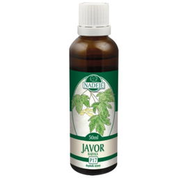 Naděje - Podhorná Javor tinktúra z púčikov 50 ml