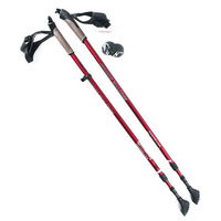 Nordic walking palice NILS Extreme NW 802