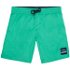 O'Neill PB VERT SHORTS Chlapčenské šortky do vody, zelená, veľkosť