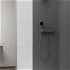 POLYSAN - ESCA CHROME jednodielna sprchová zástena na inštaláciu k stene, dymové sklo, 1000  ES1210-01
