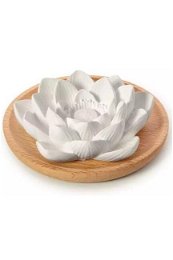 Primavera Aróma kameň Lotus Flower na drevenom Podtácky