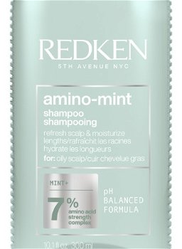 Redken Čistiaci šampón pre citlivú pokožku a rýchlo sa mastiace vlasy Amino Mint (Shampoo) 300 ml