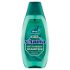 Schauma Šampón proti lupinám pre mužov Mint + Lemongrass (Anti-Danduff Shampoo) 400 ml
