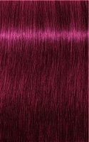 Schwarzkopf Professional 10 minútová permanentná farba na vlasy Igora Color 10 (Permanent 10 Minute Color Cream) 60 ml -ZĽAVA - poškodená krabička 6-88