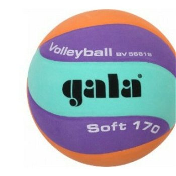 Volejbalová lopta Gala Volejbalová lopta 170g 10 panelov