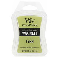 WoodWick Vonný vosk Fern 22,7 g