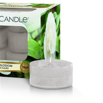 Yankee Candle Aromatické čajové sviečky Camellia Blossom 12 x 9,8 g