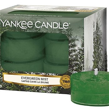 Yankee Candle Aromatické čajové sviečky Evergreen Mist 12 x 9,8 g