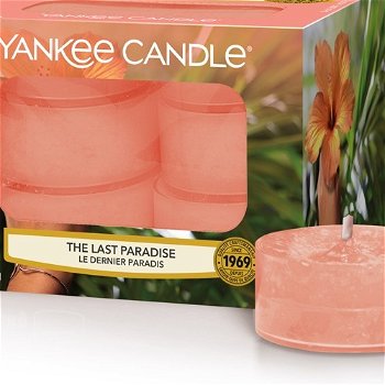 Yankee Candle Aromatické čajové sviečky The Last Paradise 12 x 9,8 g