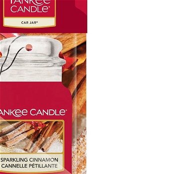 Yankee Candle Papierová visačka do auta Sparkling Cinnamon 1 ks