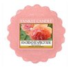 Yankee Candle Vonný vosk do aromalampy Sun-Drenched Apricot Rose 22 g