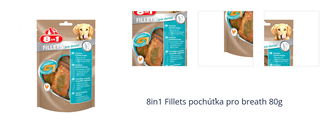 8in1 Fillets pochúťka pro breath 80g 1