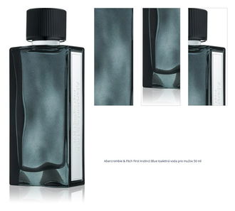 Abercrombie & Fitch First Instinct Blue toaletná voda pre mužov 50 ml 1