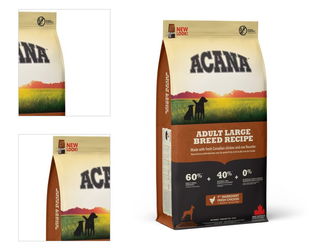 Acana Dog Adult Large Breed Recipe - 17kg 4