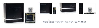 Alena Šeredová Torino For Men - EDP 100 ml 1