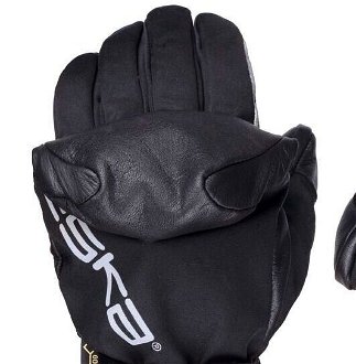 Alpine gloves Eska Arktis GTX 6