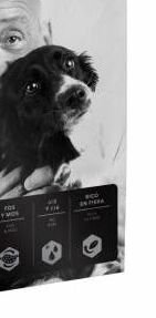 AMITY premium dog SENIOR/light - 2 x 15kg 9