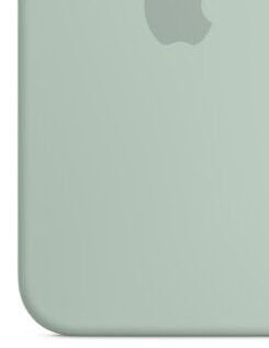 Apple iPhone 14 Pro Max Silicone Case with MagSafe, succulent 8