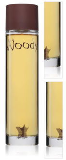 Arabian Oud Woody parfumovaná voda unisex 100 ml 3