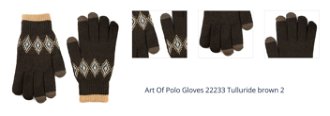 Art Of Polo Gloves 22233 Tulluride brown 2 1