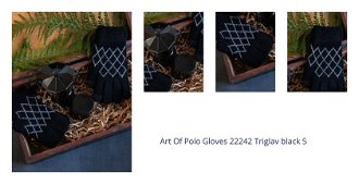Art Of Polo Gloves 22242 Triglav black 5 1