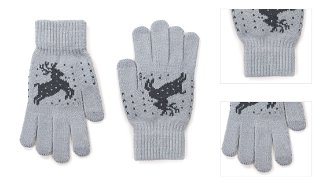Art Of Polo Unisex's Gloves rk18567 3