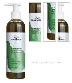 BalancoShamp - organický tekutý šampón na mastné vlasy 1
