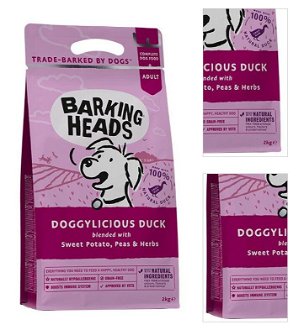 Barking Heads DOGGYLICIOUS duck - 12kg + mikroplyšová zelená deka 3