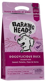 Barking Heads DOGGYLICIOUS duck - 12kg + mikroplyšová zelená deka 2