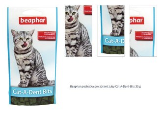 Beaphar pochúťka pre zdravé zuby Cat-A-Dent-Bits 35 g 1