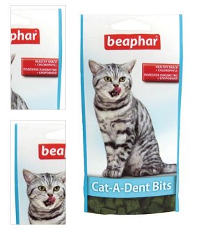 Beaphar pochúťka pre zdravé zuby Cat-A-Dent-Bits 35 g 4