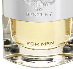 Bentley Bentley For Men - EDT 100 ml 8