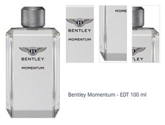 Bentley Momentum - EDT 100 ml 1