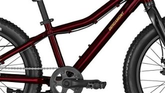 Bergamont Bergamonster 20 Plus Girl Candy Red Detský bicykel 5