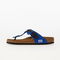 Birkenstock x Ader Error Gizech Tech Ultra Blue