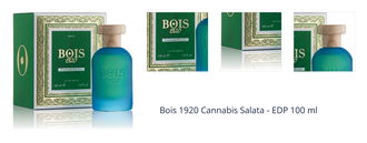 Bois 1920 Cannabis Salata - EDP 100 ml 1