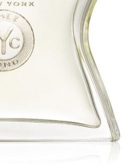 Bond No. 9 Downtown Chez Bond parfumovaná voda pre mužov 100 ml 9