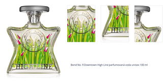 Bond No. 9 Downtown High Line parfumovaná voda unisex 100 ml 1