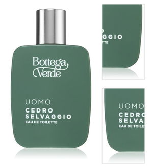 Bottega Verde Cedro Selvaggio toaletná voda pre mužov 50 ml 3