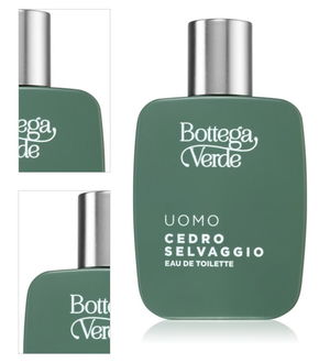 Bottega Verde Cedro Selvaggio toaletná voda pre mužov 50 ml 4