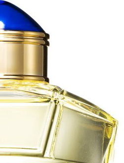 Boucheron Jaïpur Homme toaletná voda pre mužov 100 ml 7