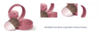 BOURJOIS Paris Blush 2,5g (Odstín 54 Rose Frisson) 1